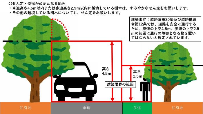 せん定・伐採が必要となる範囲