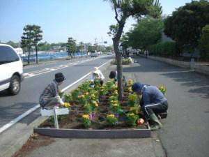 花を植えている写真