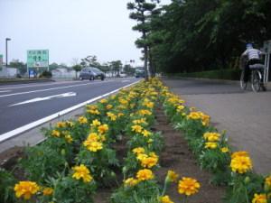 花を植えたところの写真