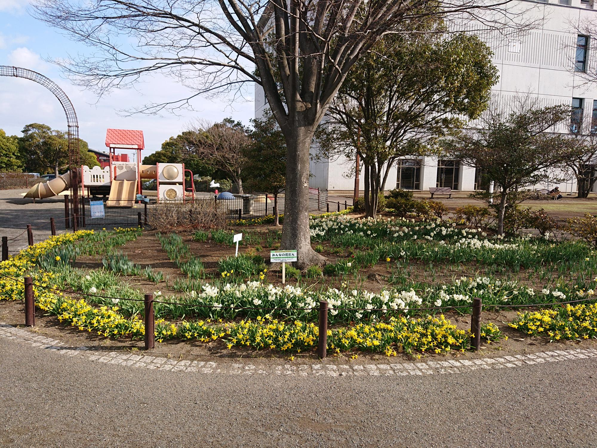 さむかわ中央公園植樹帯