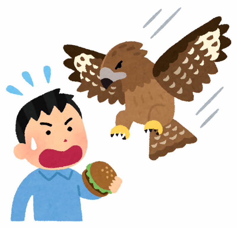 トンビに襲われている様子