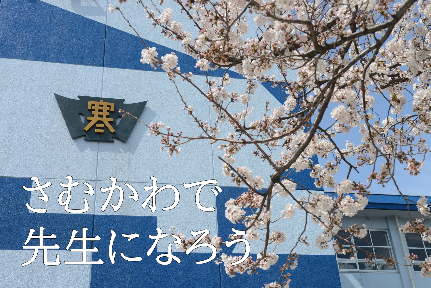 さむかわで先生になろう