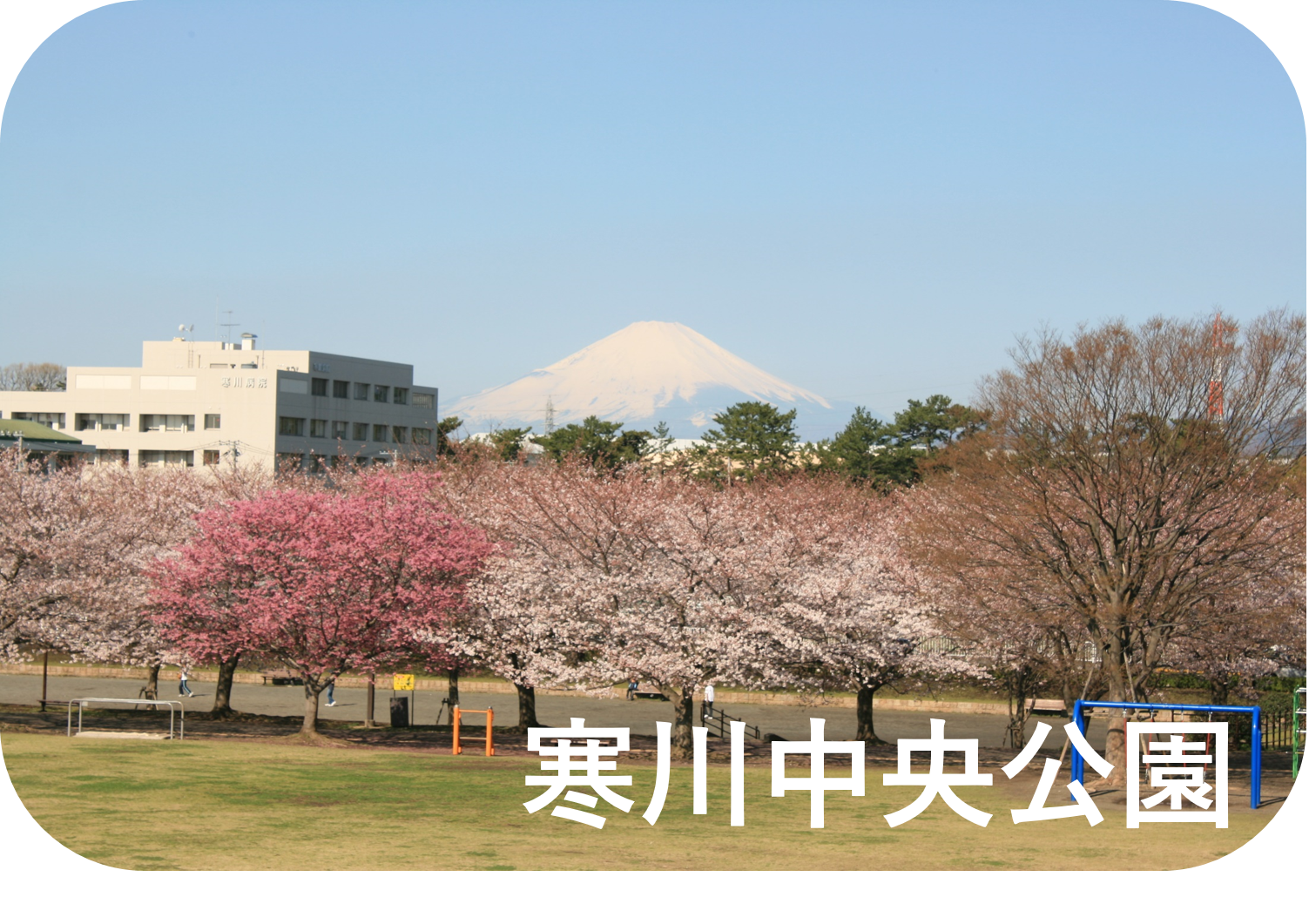 寒川中央公園の写真