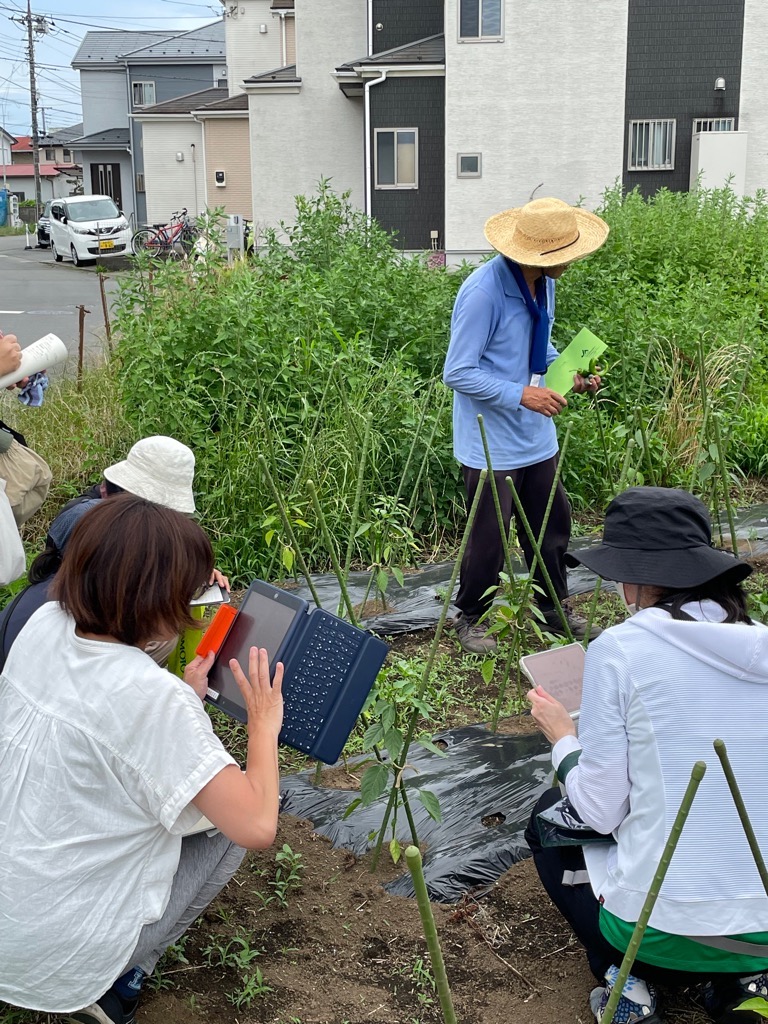 小谷の大久保さんの畑を見学
