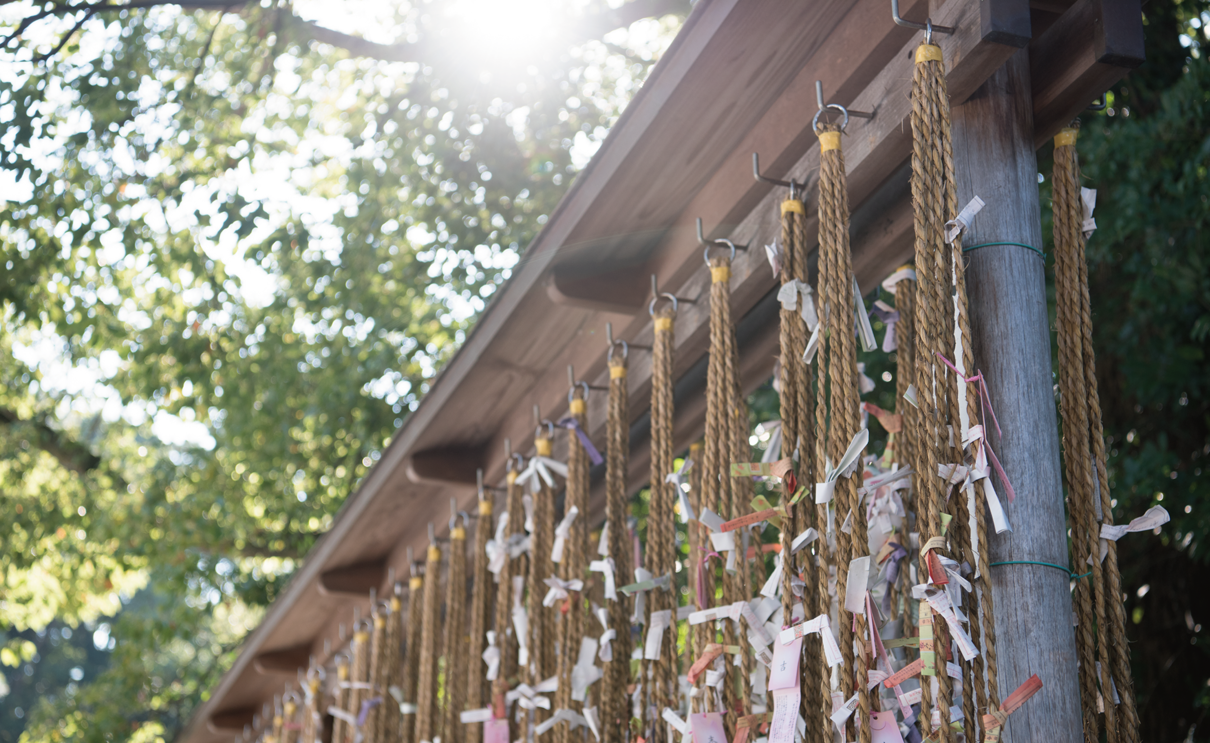 寒川神社