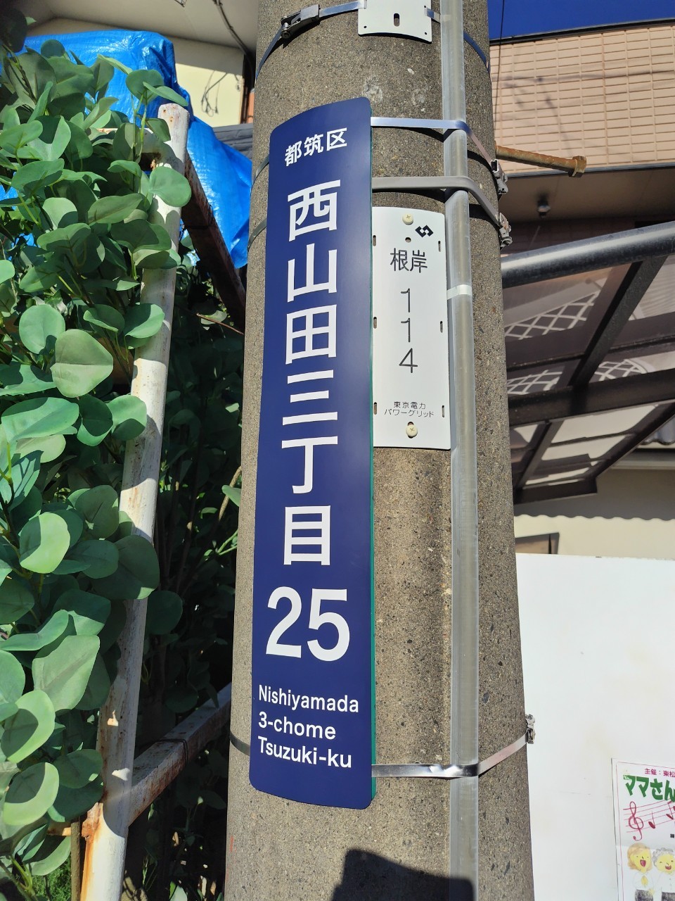 マイセカンドアオハル_ロケ地写真