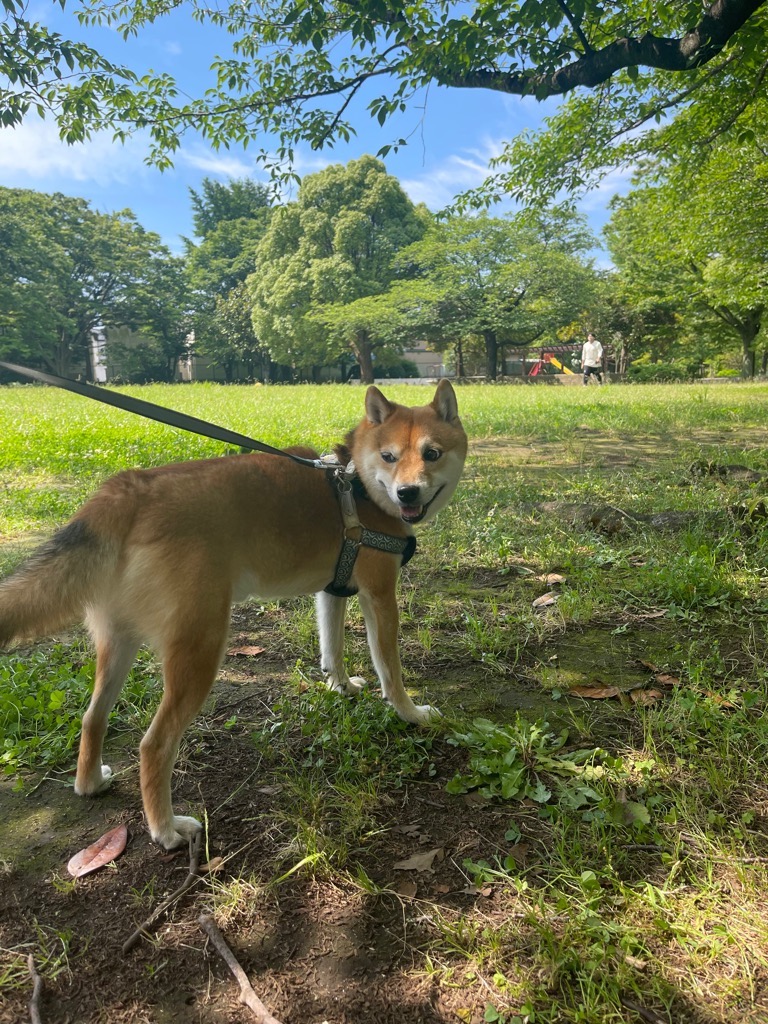TBSドラマくるり～誰が私と恋をした～撮影風景
