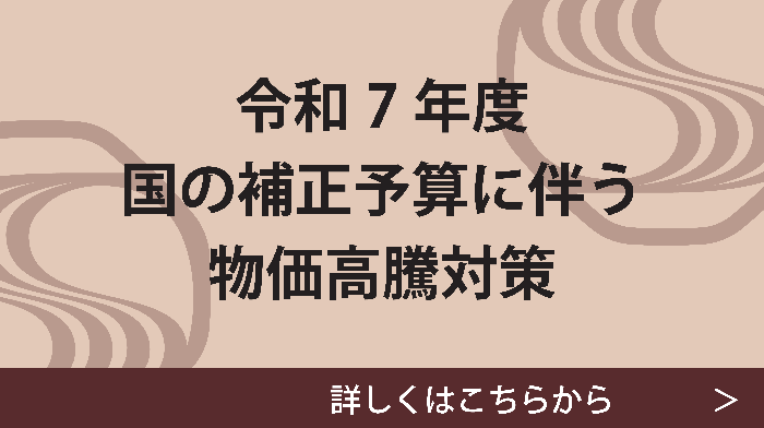 令和7年度国の補正予算に伴う物価高騰対策_注目トピックス
