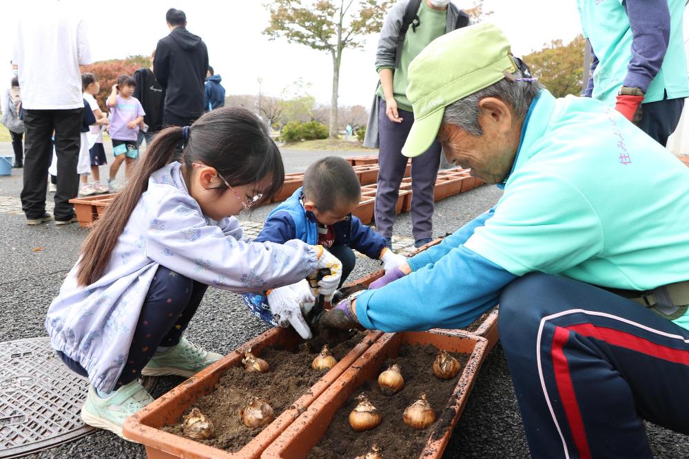 すいせん植え付けの様子