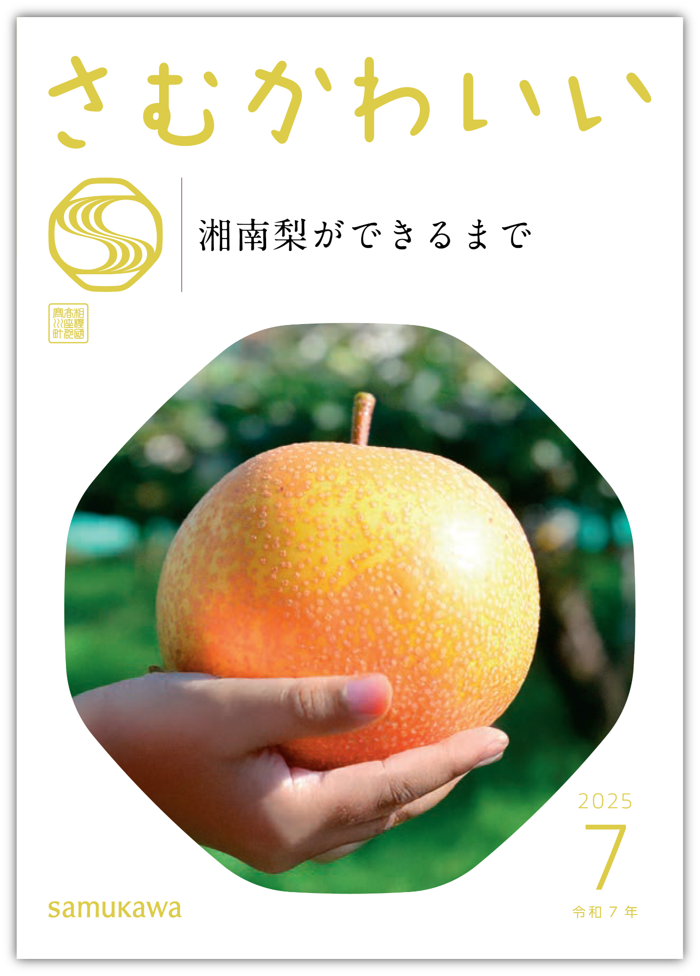 広報さむかわ7月1日号