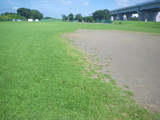 倉見スポーツ公園-2