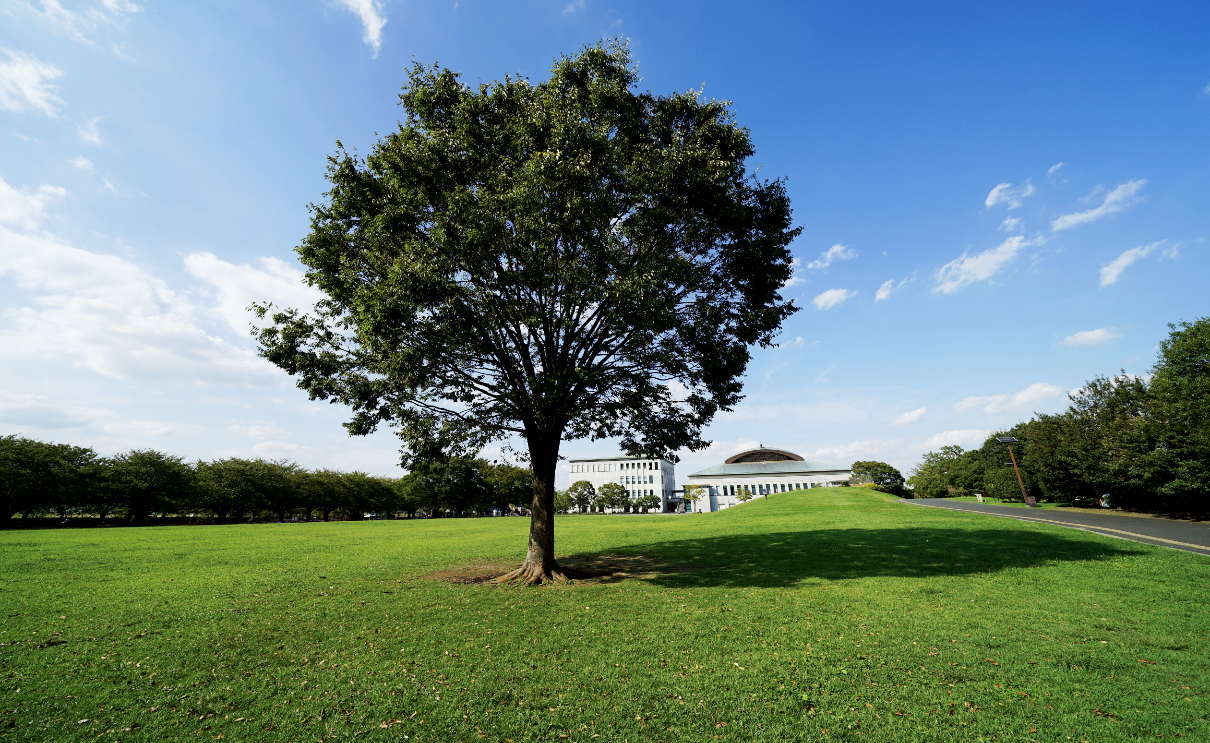 さむかわ中央公園