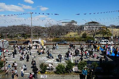 さむかわいいチョーク祭りの様子