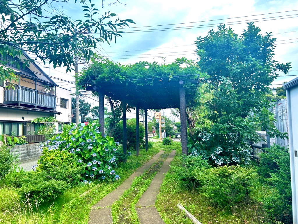 ajisai