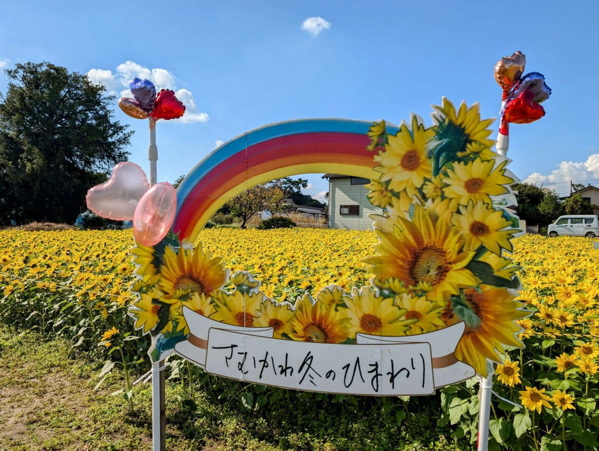 ひまわり