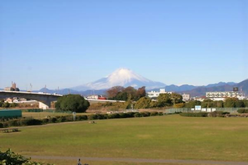 富士山