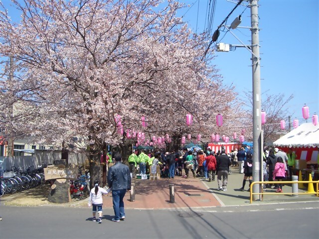 会場風景