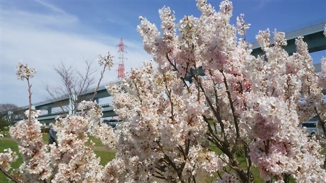 川ふれ