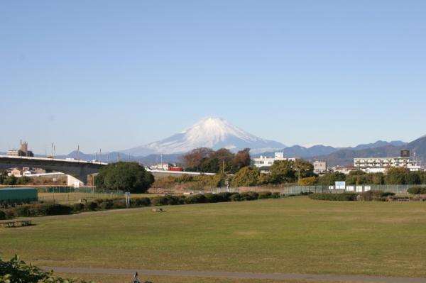 公園から見える富士山