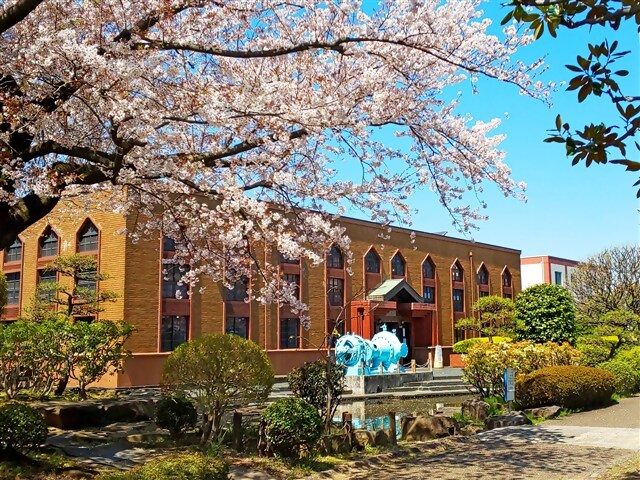 煉瓦と桜