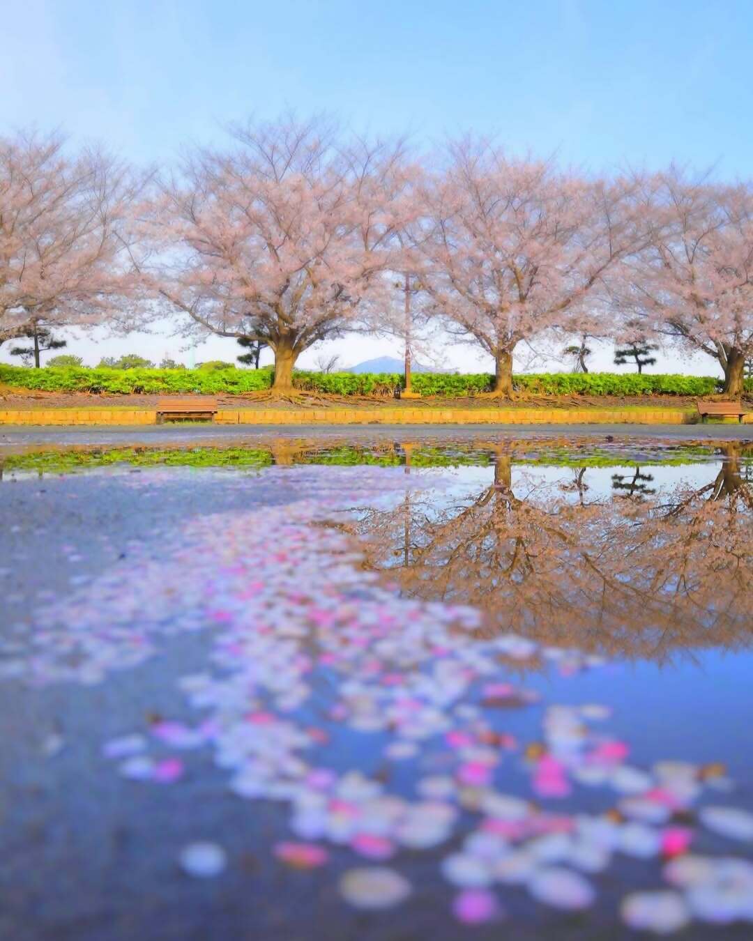 寒川賞
