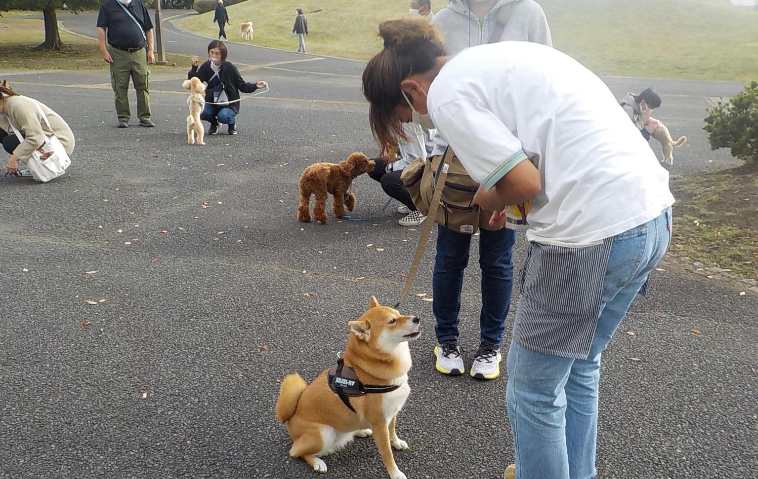 イベントの様子