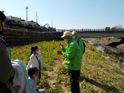 目久尻川の菜の花