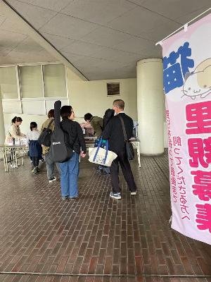 猫の譲渡会の様子