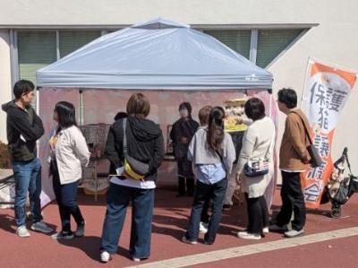 猫の譲渡会の様子