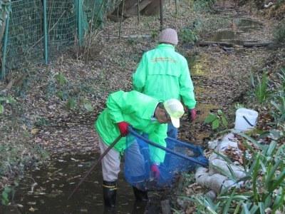 外来生物の駆除の写真1