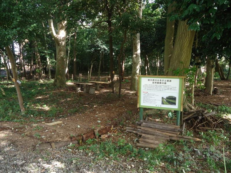 自然観察の森入口の看板