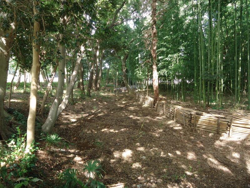 昔の川の跡