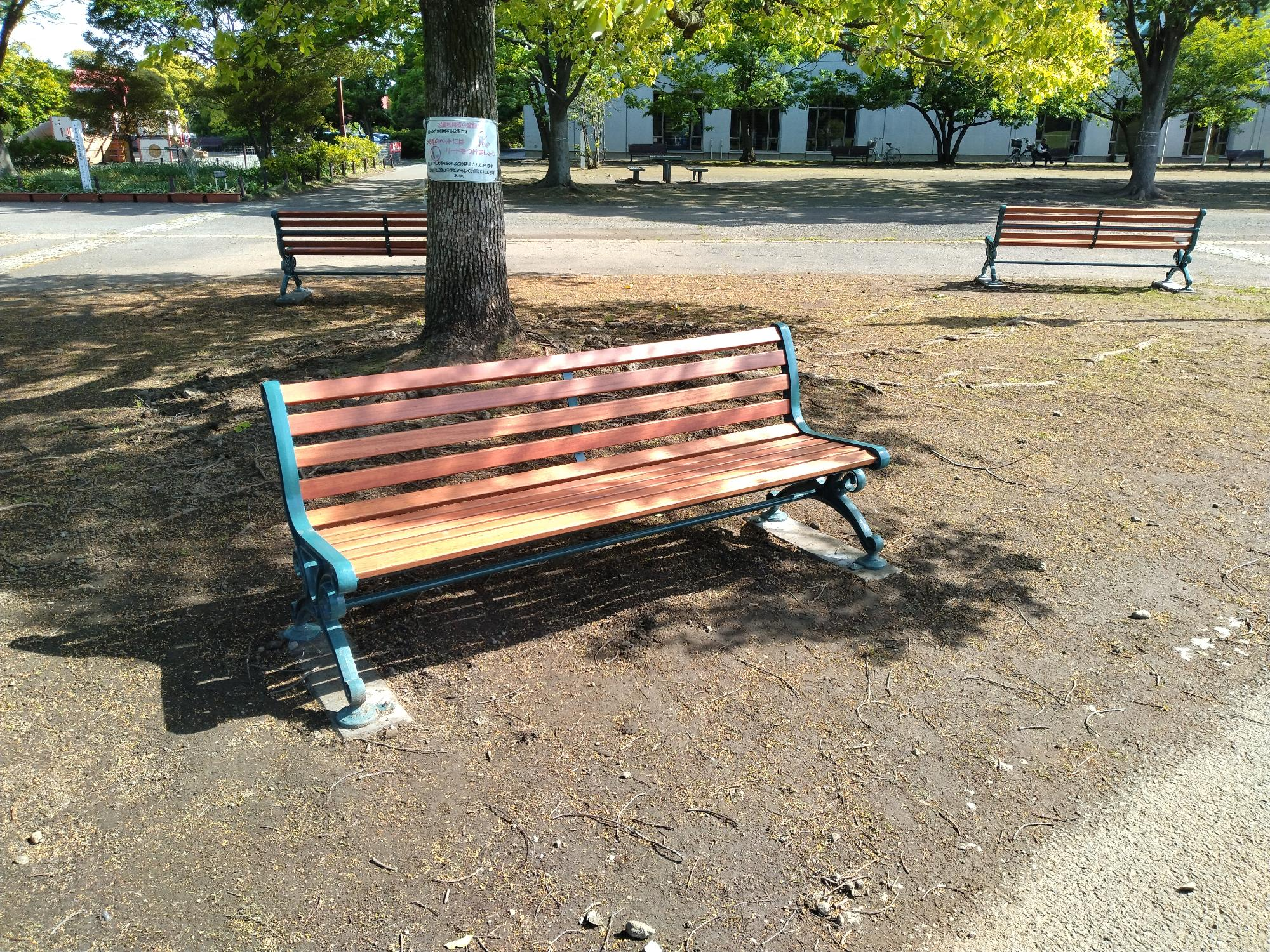 寄附されたベンチの全景