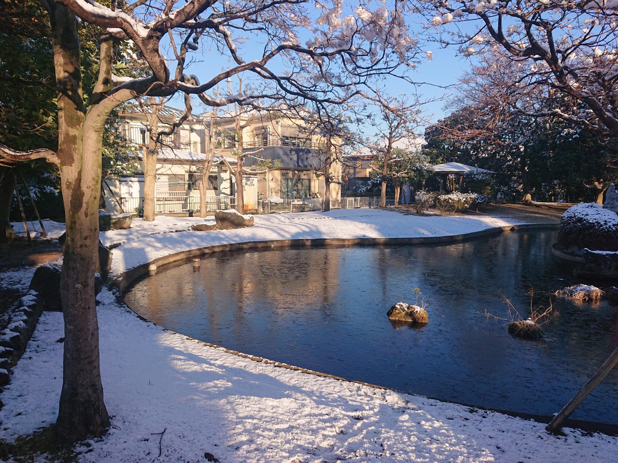 冬の雪景色