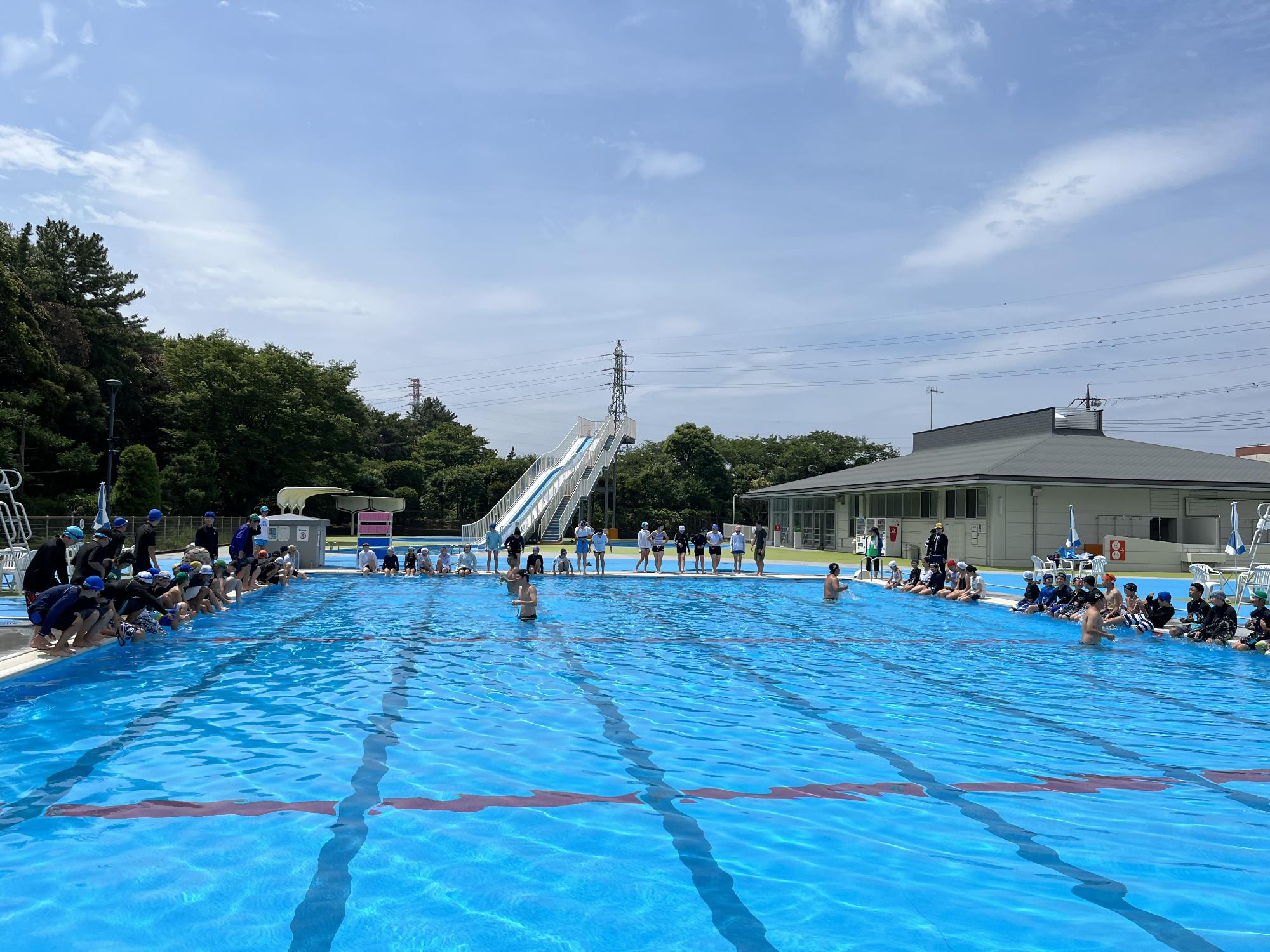 水泳している写真
