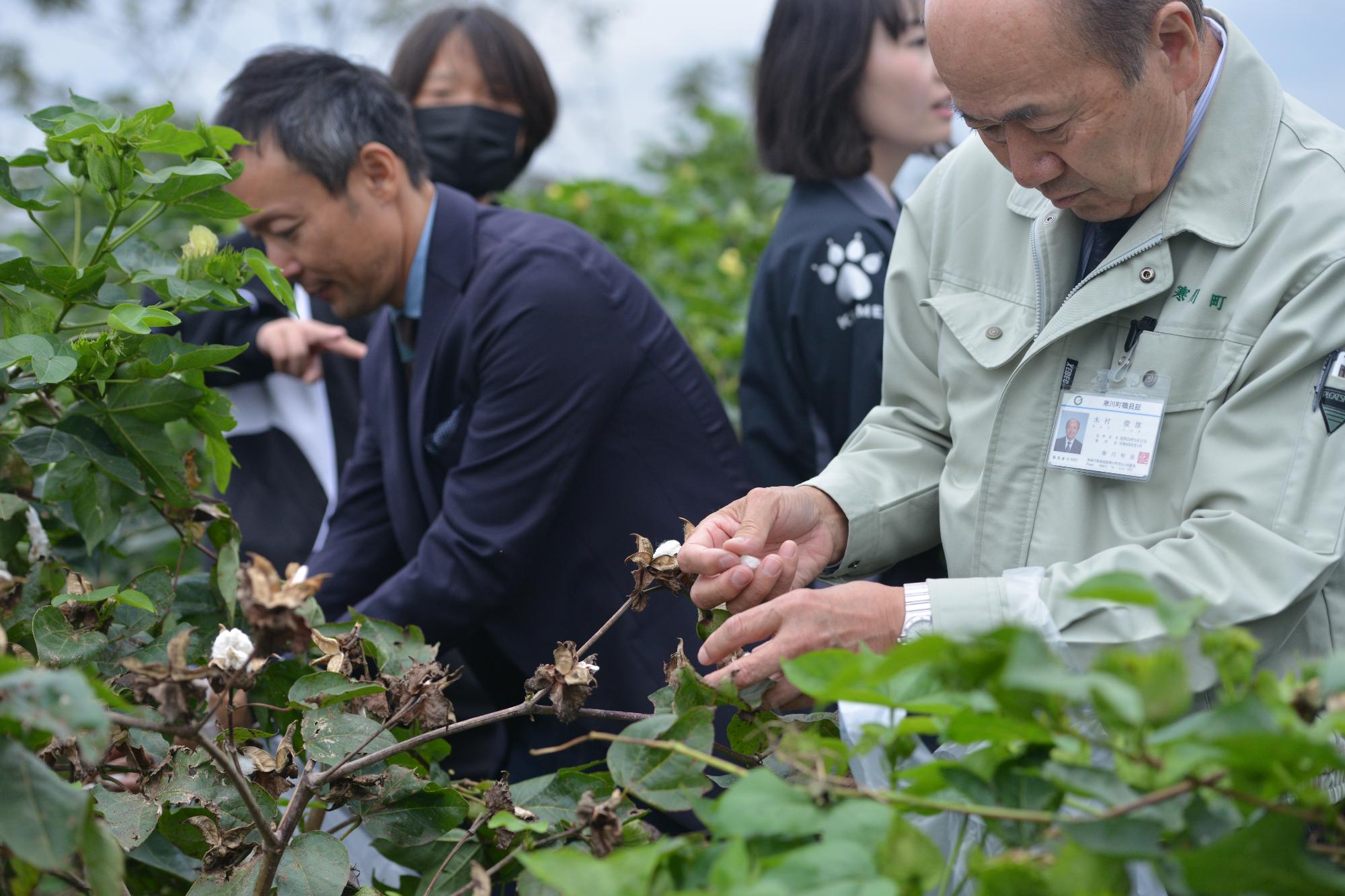 収穫祭の様子
