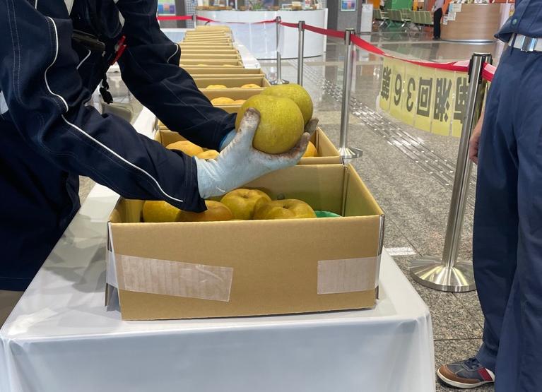 審査の様子