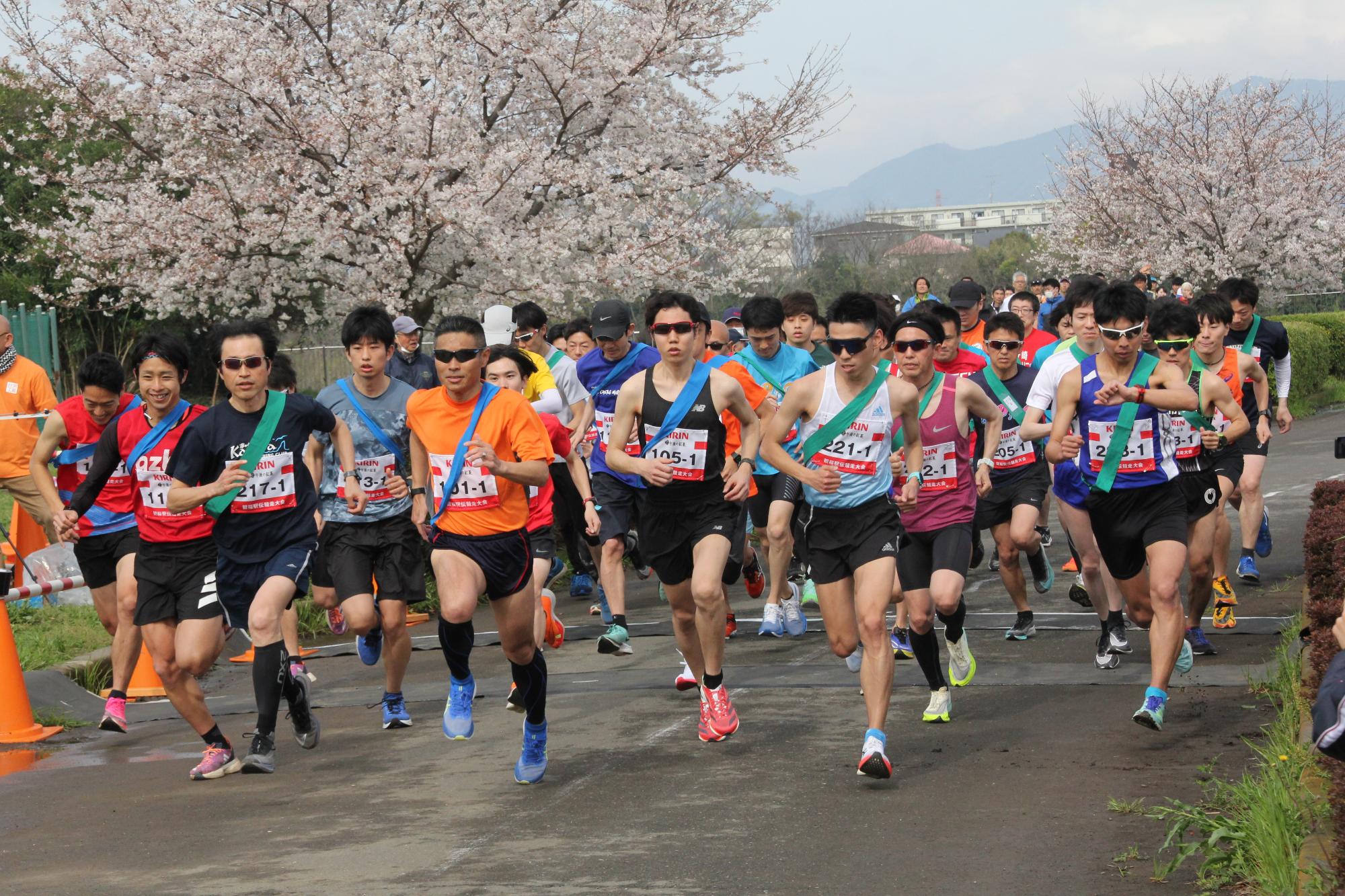 第74回観桜駅伝競走大会でランナーが一斉にスタートを切る写真