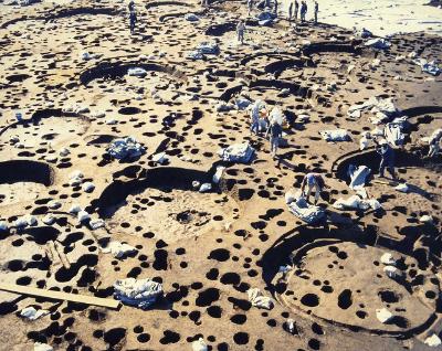 岡田遺跡発掘状況