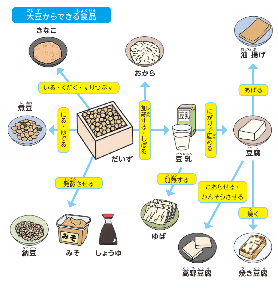 大豆からできる食品