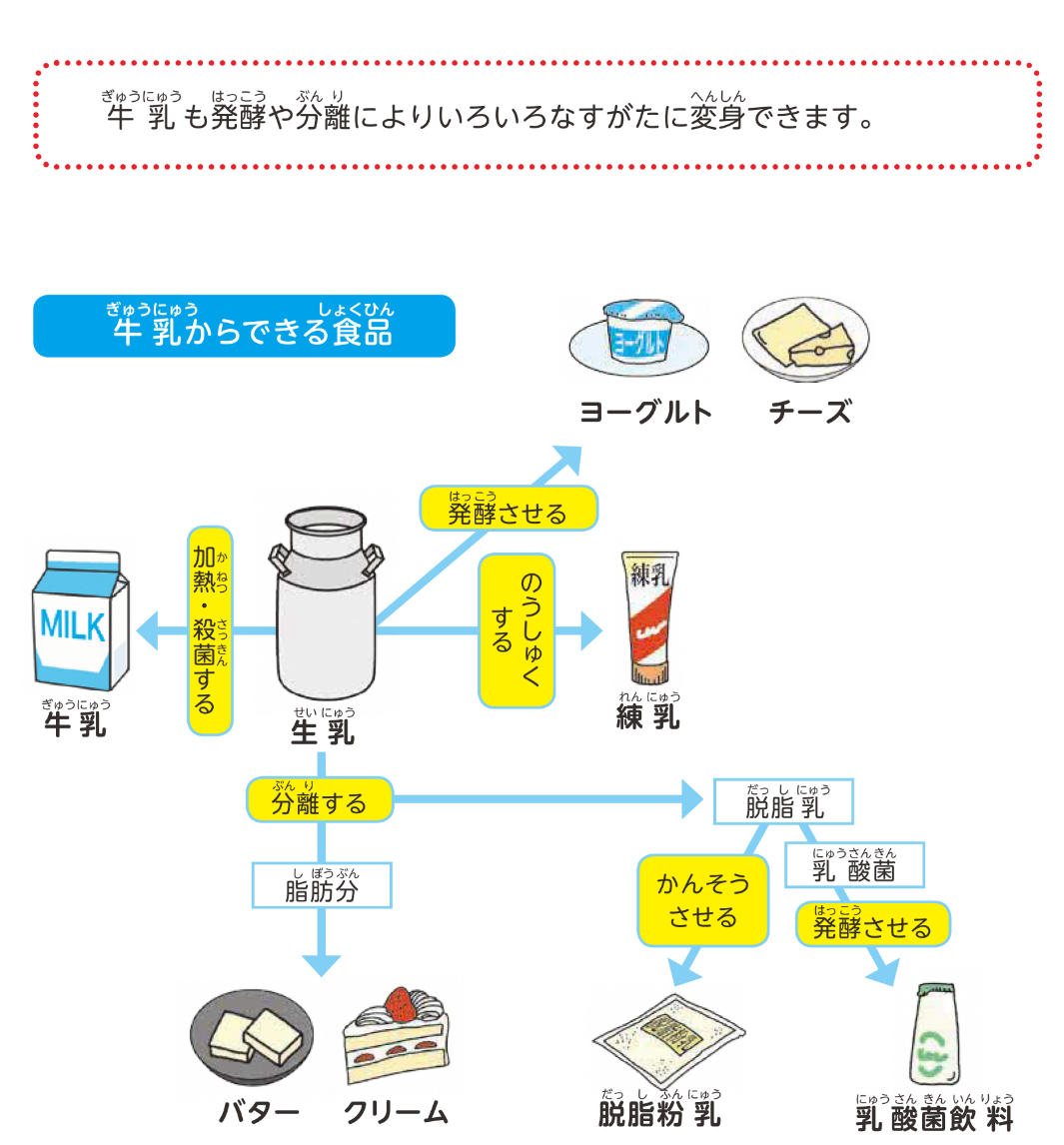 牛乳からできる食品